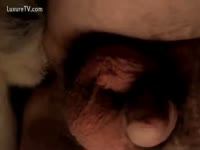 Beast Sex DVD - Close up episode of brute fucking dude's wazoo